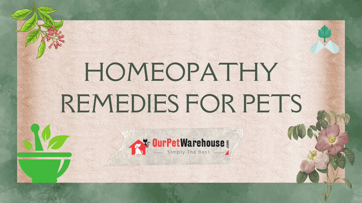 Homeopathy Remedies For Pets

anyflip.com/qxvwm/lnjv/

#ourpetwarehouse #homeopathyForDogs #homeremediesforpets #homeopathymeaning #homeremedeiesforfleasondog #homeopathyheals #homeopathyremedies