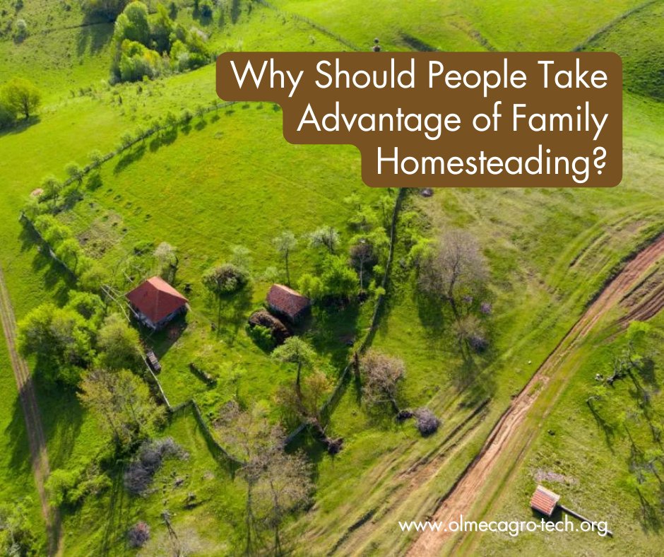 olmecagrotech's tweet photo. How does Space of Love Kinship Homestead Differ from Existing Government and Community Programs?

https://t.co/rvogIuK4Gh

#spaceoflove #homesteading #gardening https://t.co/NP86sNCbHB