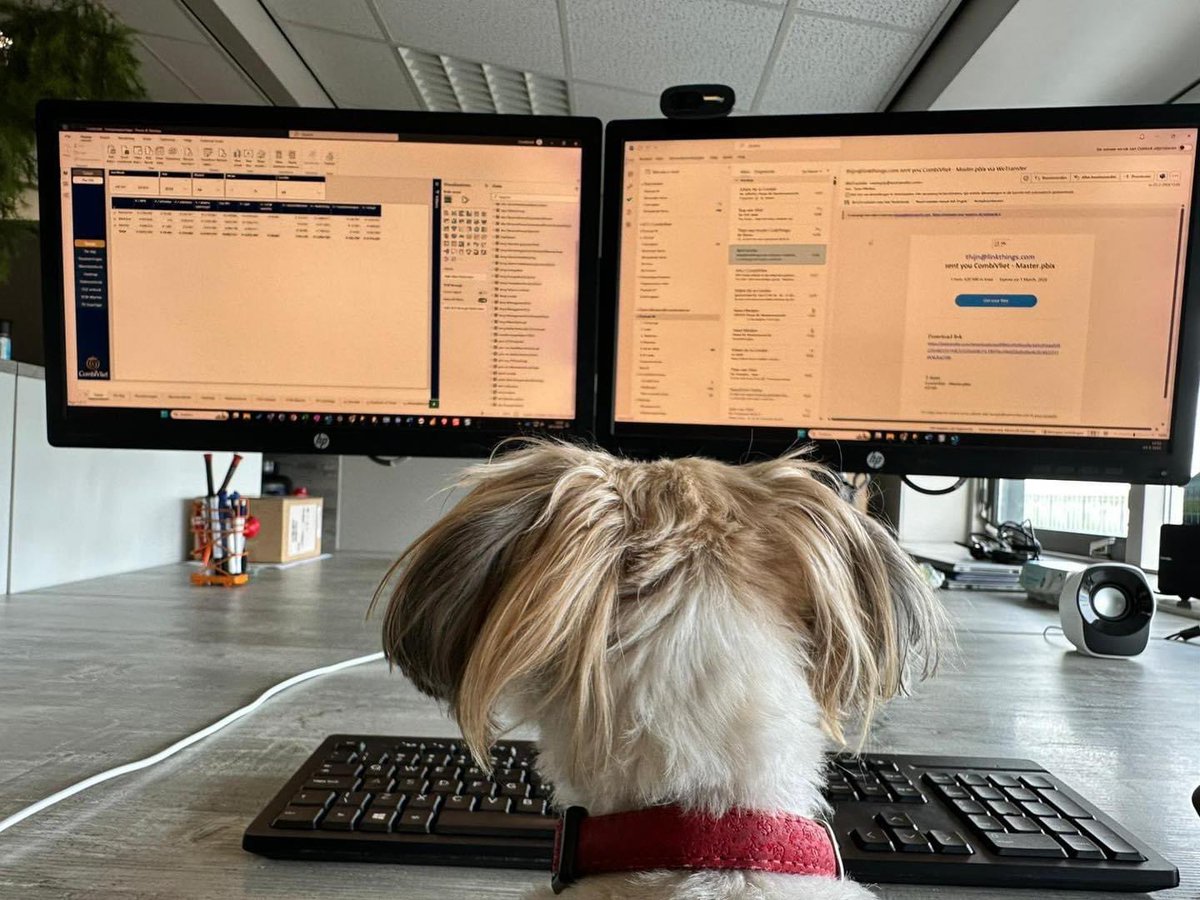 Controle van gegevens wordt steeds belangrijker. Door het tekort op de arbeidsmarkt, hebben wij de oplossing, een echt waakhond. Bowie screent alle documenten op ongewenste zaken! 🍅❤️🐶