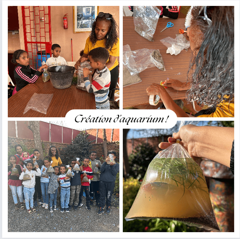 👏Because our activities go beyond French courses. Tournaments or art workshops are also held in our spaces, all in a friendly atmosphere! <a href="/Barrosoclara1/">Barroso clara</a>