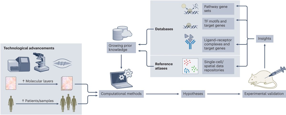 Saez-Rodriguez Group (@saezlab) on Twitter photo 1) Are you interested in computational approaches to study the immune system 🔎🦠by integrating single-cell + spatial multi-omics data with prior knowledge? Check our review 📖out now in <a href="/NatImmunol/">Nature Immunology</a> nature.com/articles/s4159… 🧵 1) Are you interested in computational approaches to study the immune system 🔎🦠by integrating single-cell + spatial multi-omics data with prior knowledge? Check our review 📖out now in <a href="/NatImmunol/">Nature Immunology</a> nature.com/articles/s4159… 🧵