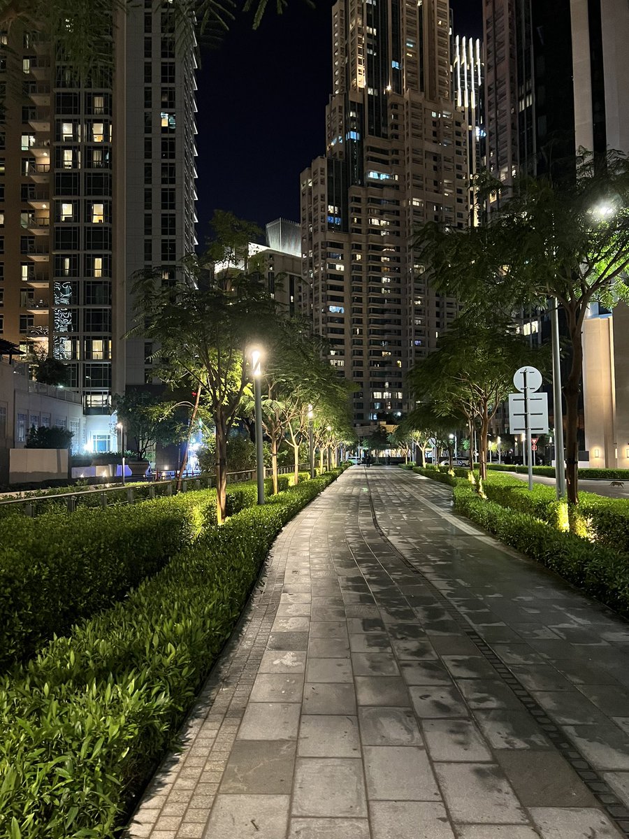 THE GLOBAL BOUNCE tweet media