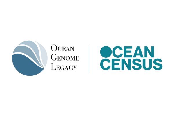 Ocean Census (@oceancensus) and Ocean Genome Legacy (@oceangenome) forge alliance to revolutionise marine biodiversity research. Read more... buff.ly/49KmqN7 #oceanbuzz #oceantech #oceanbiz