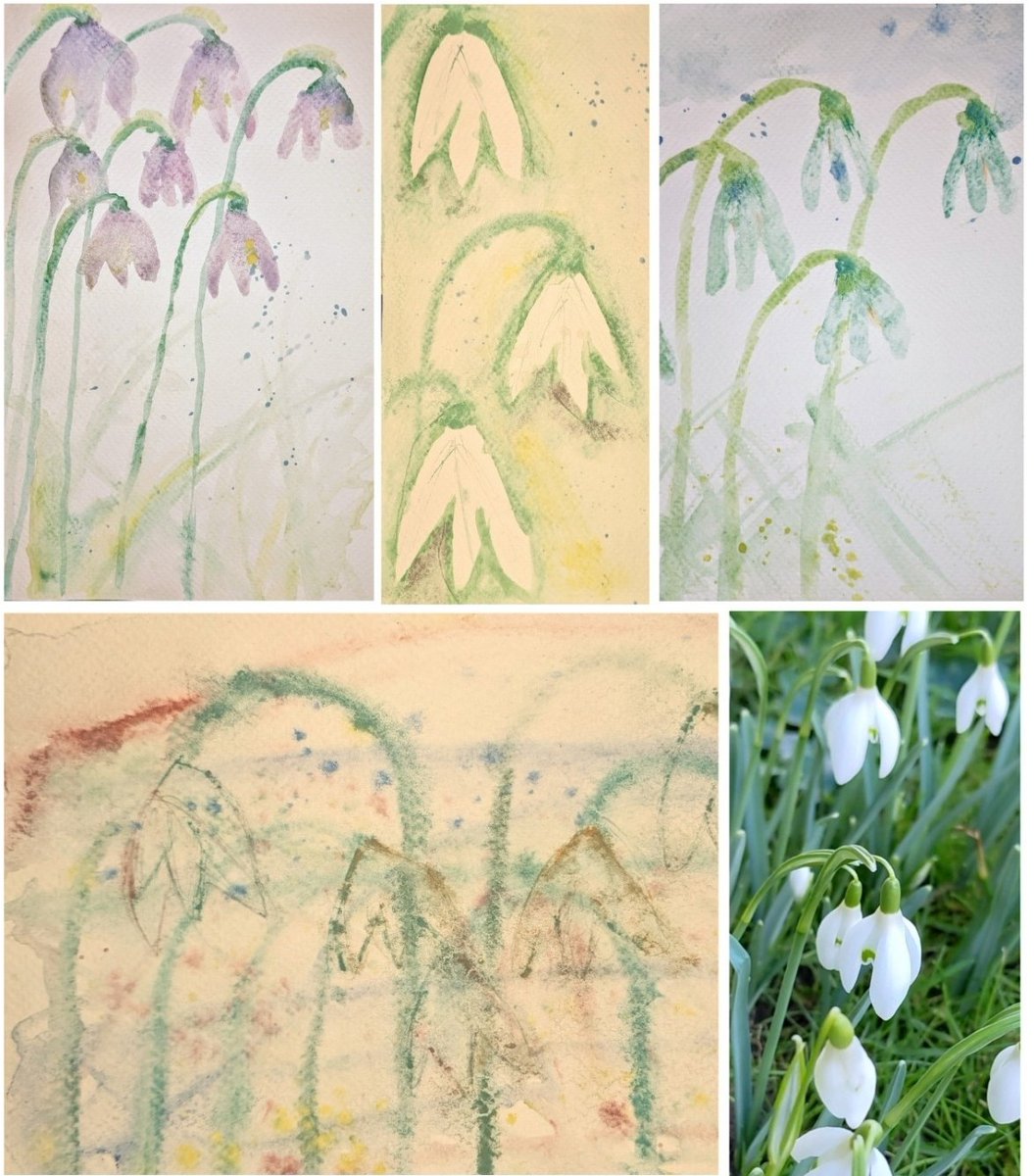 Such a relaxed workshop with NPMS volunteers last week. Artist Iris Hill helped us explore the Snowdrop, developing uses of watercolour and letting go of perfectionism! Thanks to all those who joined. As one participant said 'Can't we have watercolour Wednesday every week now?!'