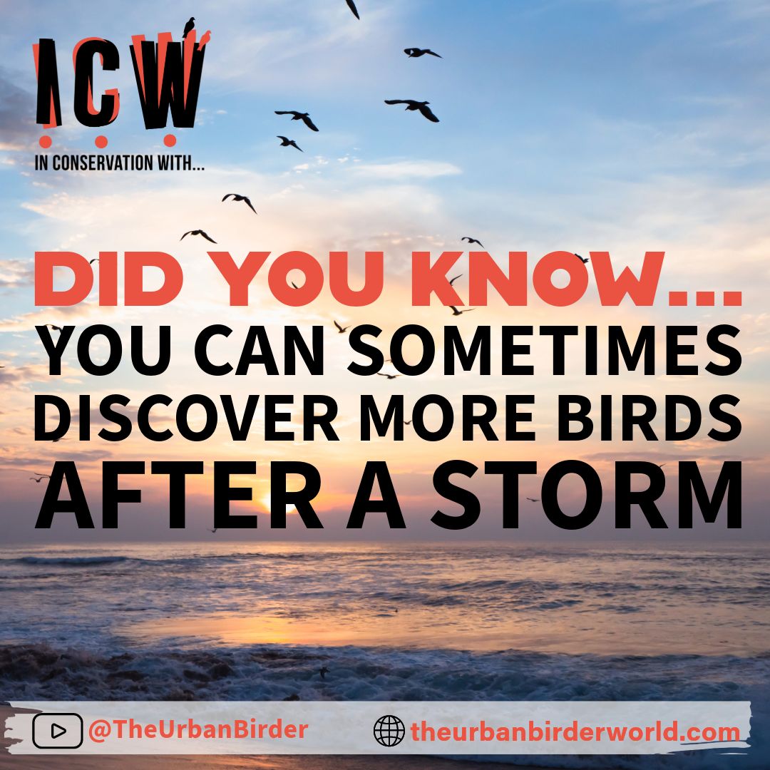 In Conservation With... tweet media