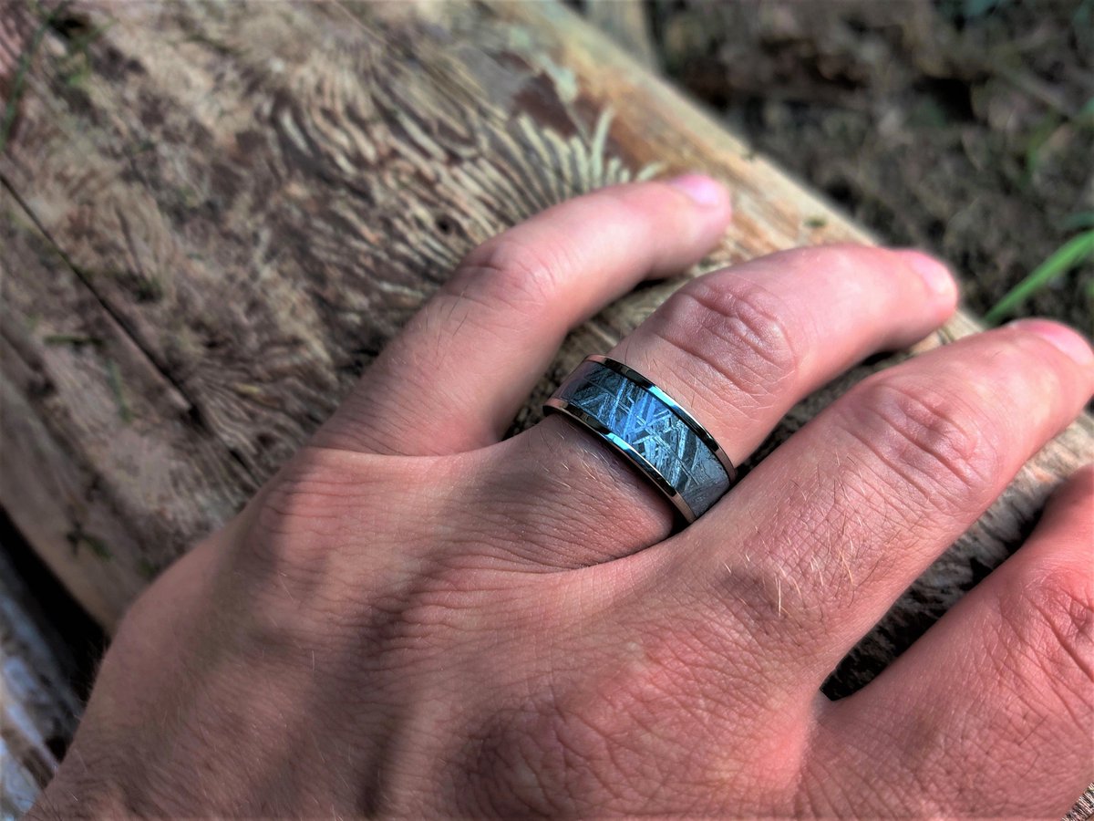 Whimsical Wonderland tweet media