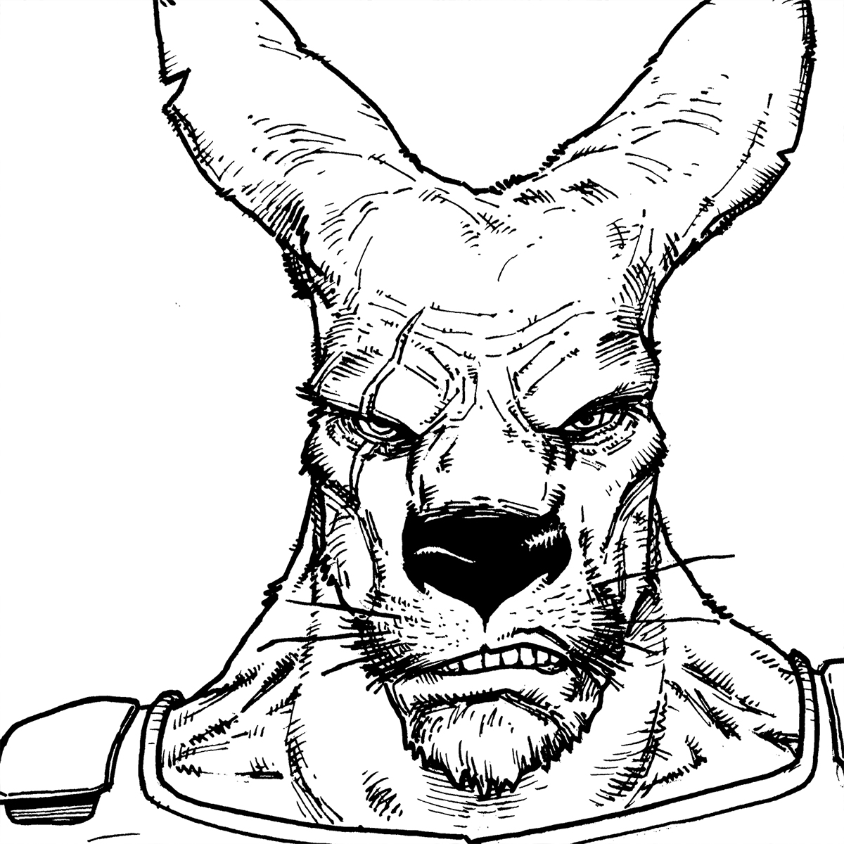 killeroo's tweet photo. Here's some inks I did over @4horsefemmes pencils for the new book over at that crowdfunding place you've heard me talking about... ;)

#killeroo #anthro #furry #inking #indiecomics https://t.co/NaxcLByqac
