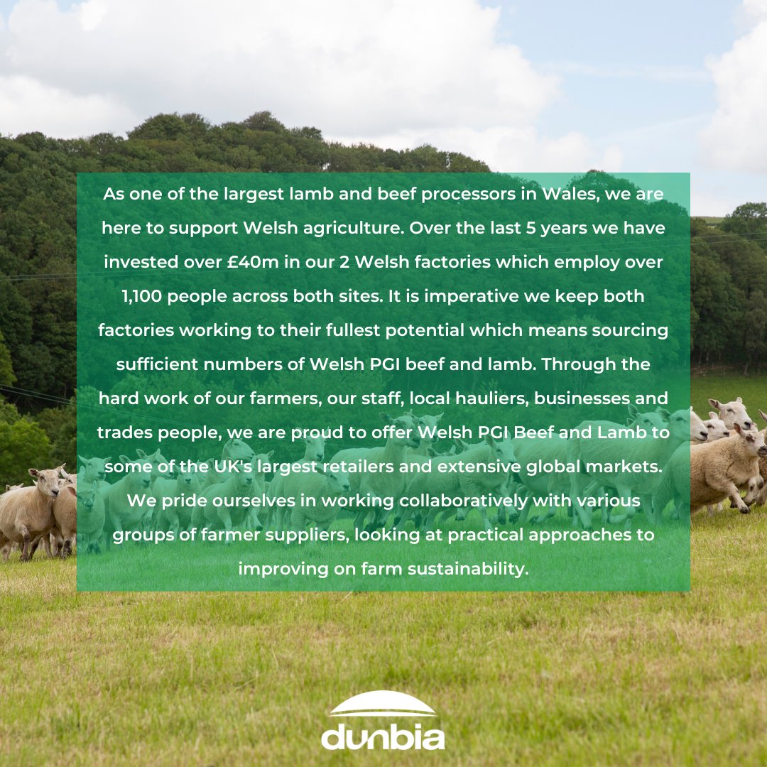 As one of the largest lamb and beef processors in Wales, we are here to support Welsh agriculture. Read more 👇
