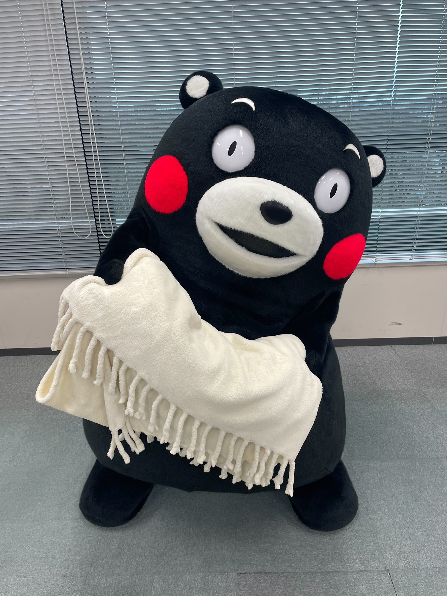 くまもん様的他の方はご遠慮下さい。 hidekazum on X: 