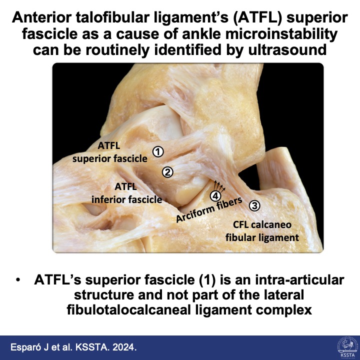 Knee Surgery, Sports Traumatology, Arthroscopy tweet media