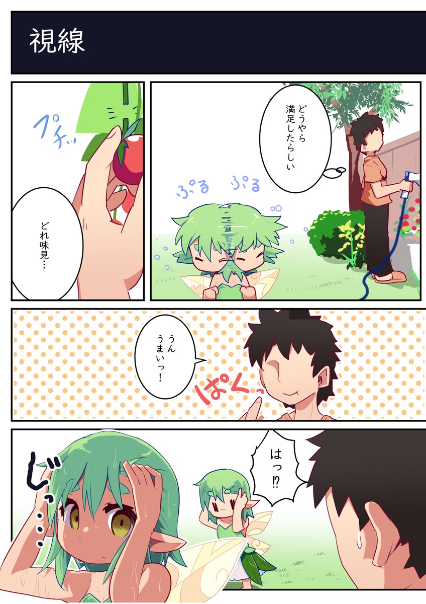 庭の妖精 価値観 
