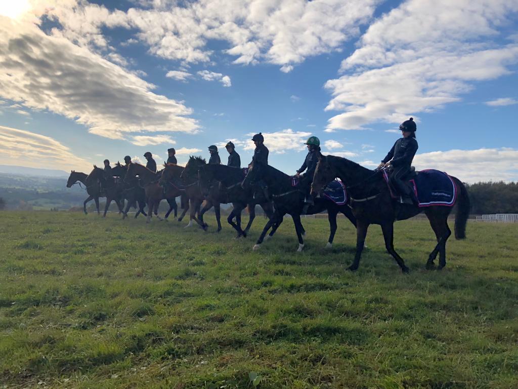 The A-Team ☀️ 🐎 💥 🤞 #teamwork #happyhorses #happystaff #Herefordshire #winners #fingerscrossed #strikerate #keepemcoming #letsgo #horseracing