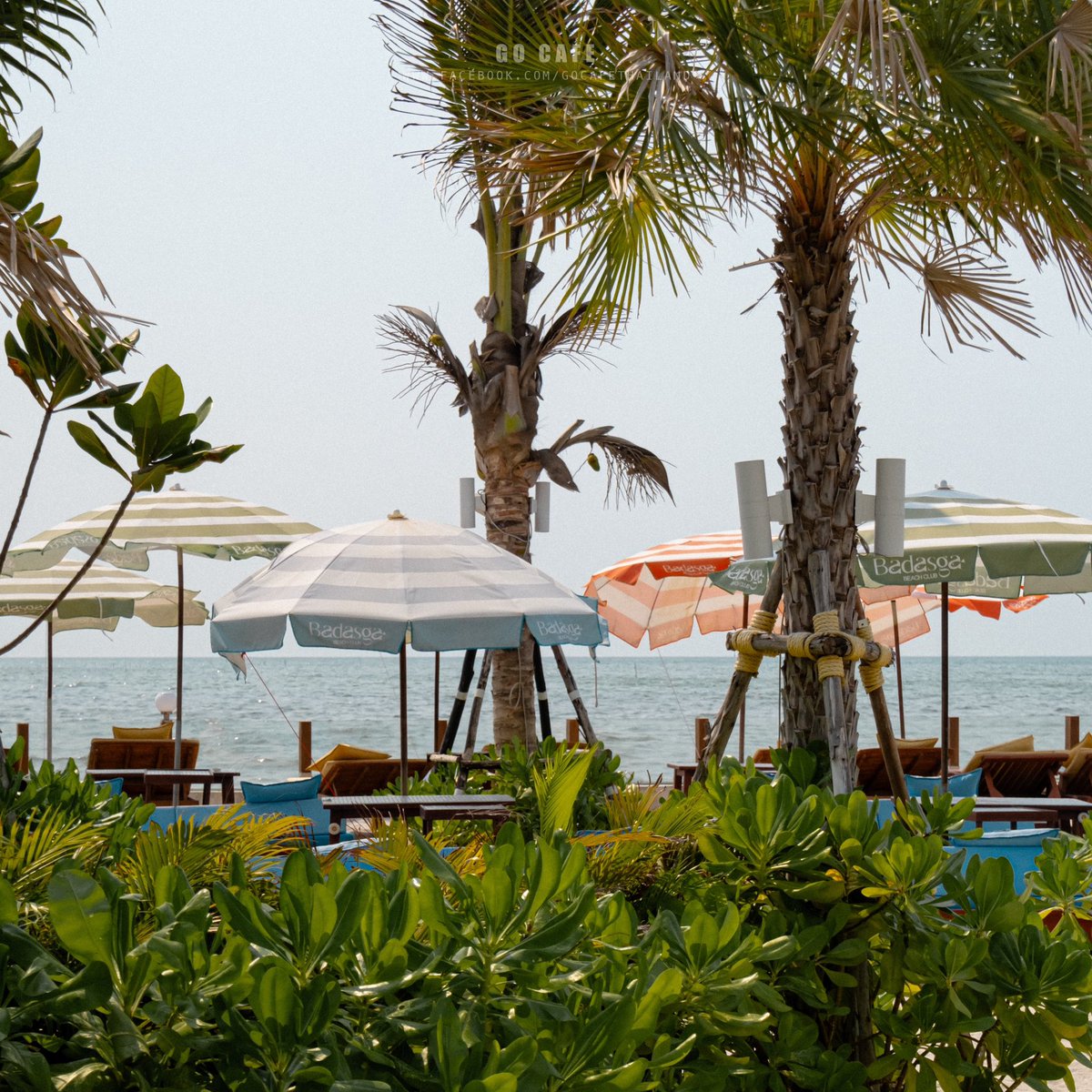 gocafethailand's tweet photo. Badasga beach club 🌊🏖️🌥️✨
บีชคลับริมทะเลบางแสน เกร๋เว่อร์ mood ดีมากกก  สวยไปหมดทุกมุม โซนที่นั่ง Outdoor ริมทะเล โซคิววท์สุดๆ มาช่วงบ่ายแก่ๆเป็นต้นไปคือ goodmood สุดๆ ที่ร้านมีทั้งเครื่องดื่มและอาหารเลยน้า ☀️🍉🥥 https://t.co/Nca0axWwZl