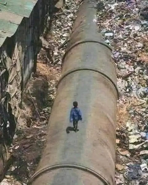 Biafra_1st_son's tweet photo. He walks on foot in search of a meal in the refuse dump to end his hunger. But under his feet is liquid gold running through to the belly of some men who have denied him his share of the commonwealth.

#Africa #typicalAfrican. https://t.co/ga2kYgeIsx