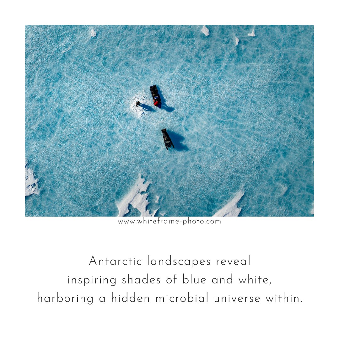 Klemens Weisleitner (@kweisleitner) on Twitter photo Elevate your sci-comm with professional visuals! 🌟 For your next scientific project's visual needs, DM me or reach out at info@whiteframe-photo.com. Let's bring your research to life! #SciComm #VisualStorytelling #ResearchImpact Elevate your sci-comm with professional visuals! 🌟 For your next scientific project's visual needs, DM me or reach out at info@whiteframe-photo.com. Let's bring your research to life! #SciComm #VisualStorytelling #ResearchImpact