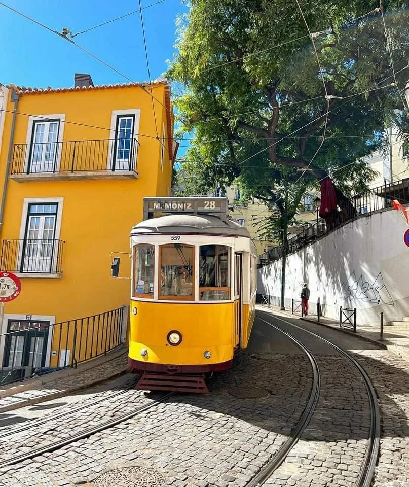 alentejo_1970's tweet photo. The colors of #Lisbon's neighborhoods are beautiful. https://t.co/JfNzazGqf8