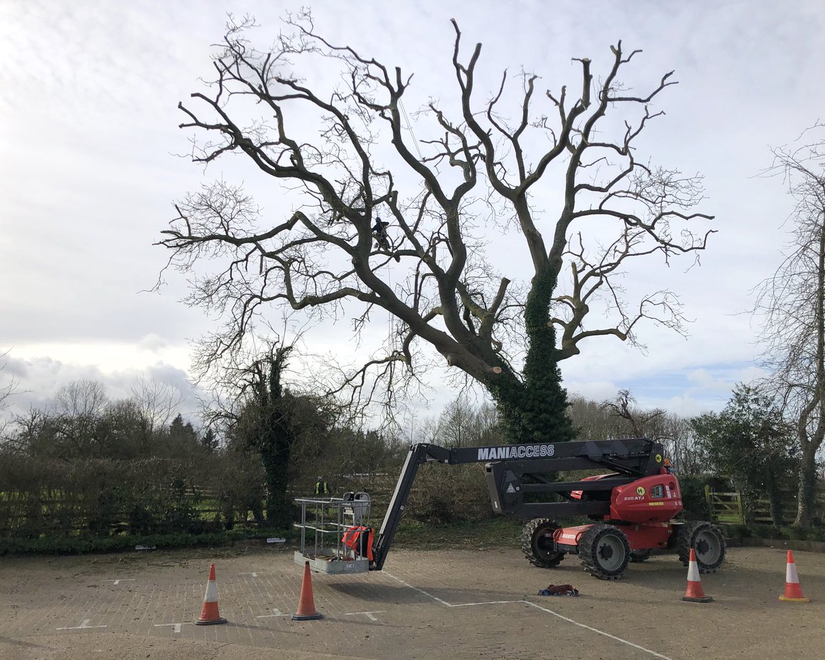 Good morning! . A little #bts, taken a week or so ago. If you’ve been to us, you may remember the wonderful Ash tree in the car park? Every so often it needs a little TLC; this year it was time again. . Tree surgeons came in & trimmed it back. It’s better, healthier & neater!