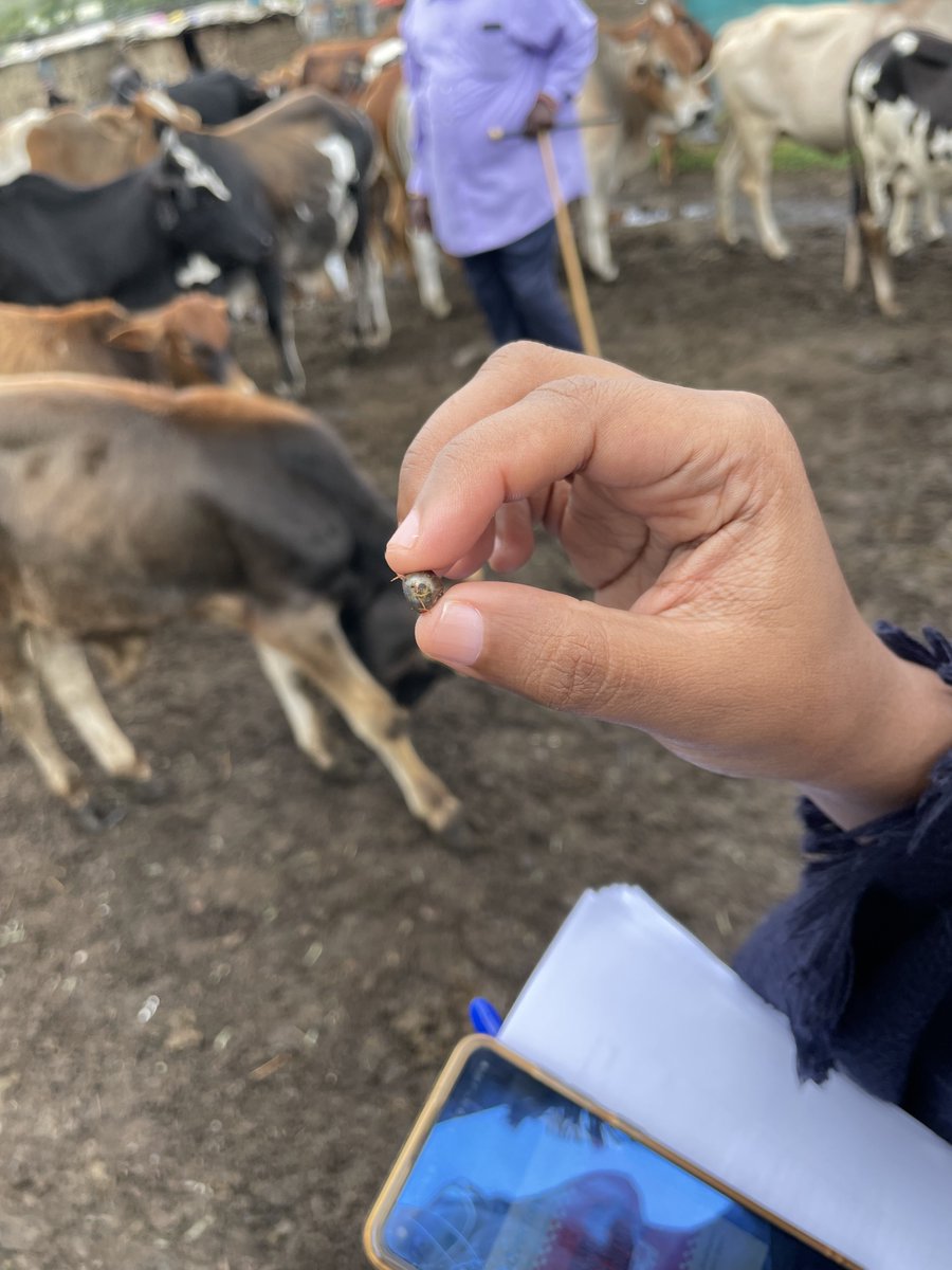 PREPARE4VBD tweet media