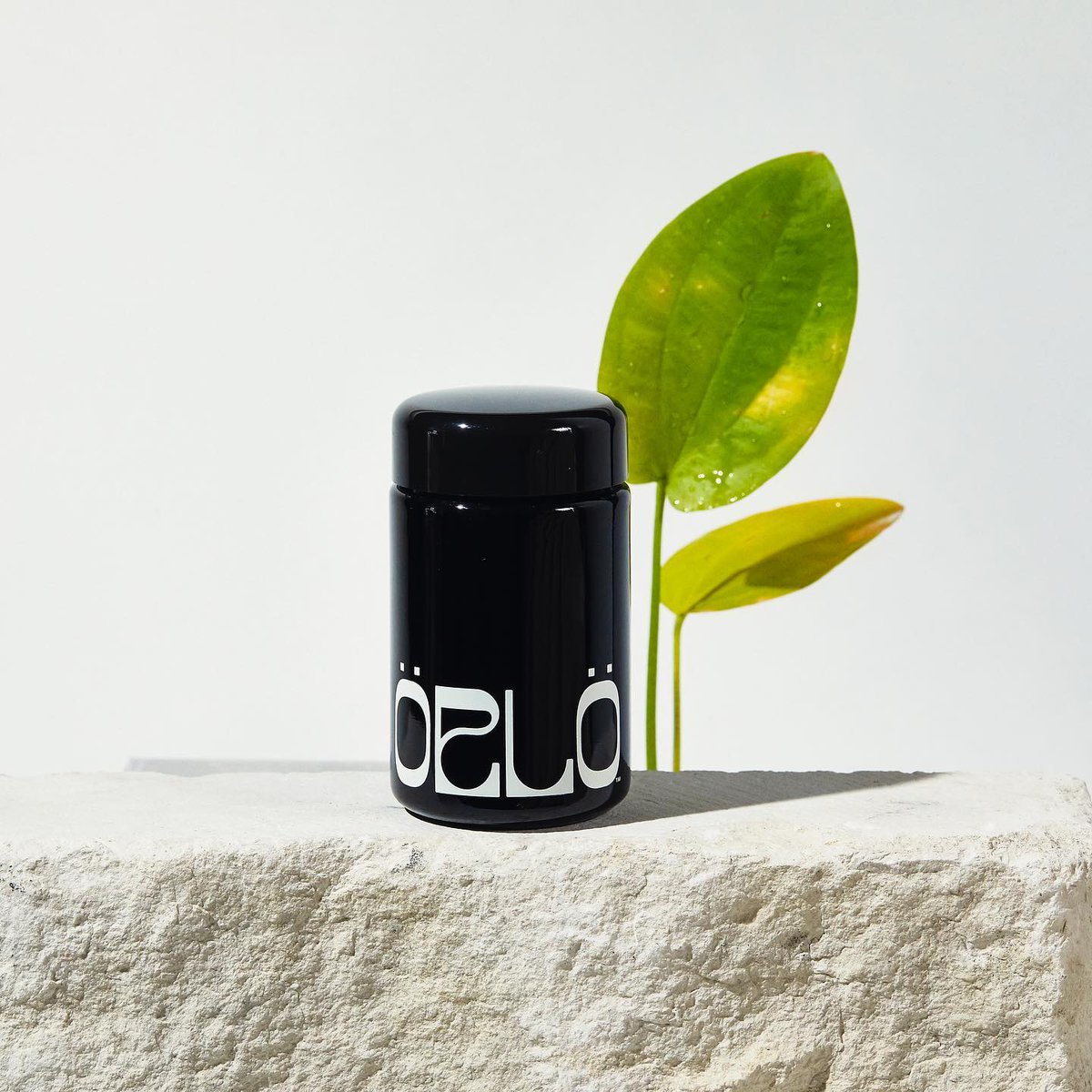 Allar frumur líkamans þurfa á Omega-3 fitusýrum að halda 😌👏✨ og þar sem ÖRLÖ Ömega-3 hefur 3x meiri upptöku og nýtingu en olíur unnar úr fiskiafurðum, þá er valið auðvelt✌️💪

Nánar á orlo.is