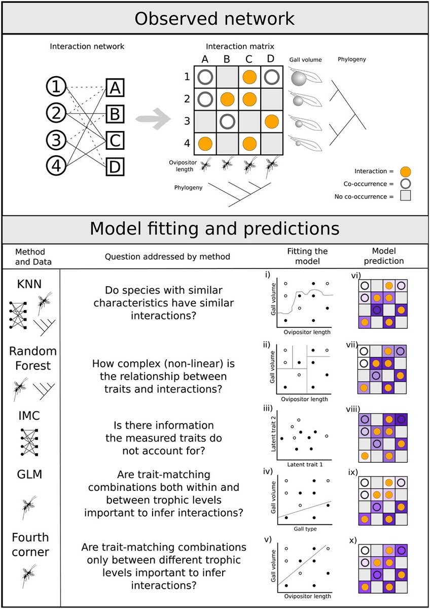 EcographyJourna's tweet photo. Layer-specific imprints of traits within a plant–herbivore–predator network – complementary insights from complementary methods https://t.co/BbRTz3hGv0 #network_ecology #Random_forest @NordicOikos @WileyEcolEvol https://t.co/xKn5E4k8uM