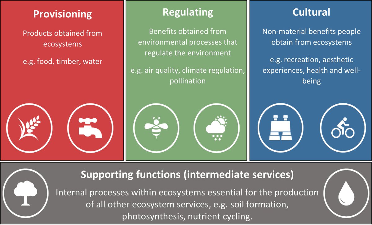 Nat_Cap_Sol's tweet image. 💡#WordWednesday
***RECAP***
🏃🧠 This week, jog your memory and review our definitions of the four #ecosystemservices types. 

#provisioning #regulating #cultural #supporting #naturalcapital
