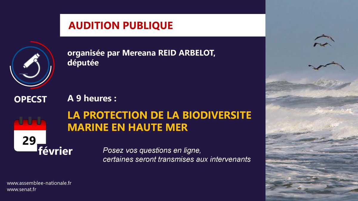 🐠 Protection de la #biodiversité marine en haute #mer 🔴Jeudi 29/02 à 9h, l'OPECST organise une audition sur l’accord #BBNJ signé à l’ONU en 2023 📋Programme bit.ly/3wwxhMn ❓Posez vos questions bit.ly/3UTTNc0 📺Suivez le direct bit.ly/43GPbXU #pêche