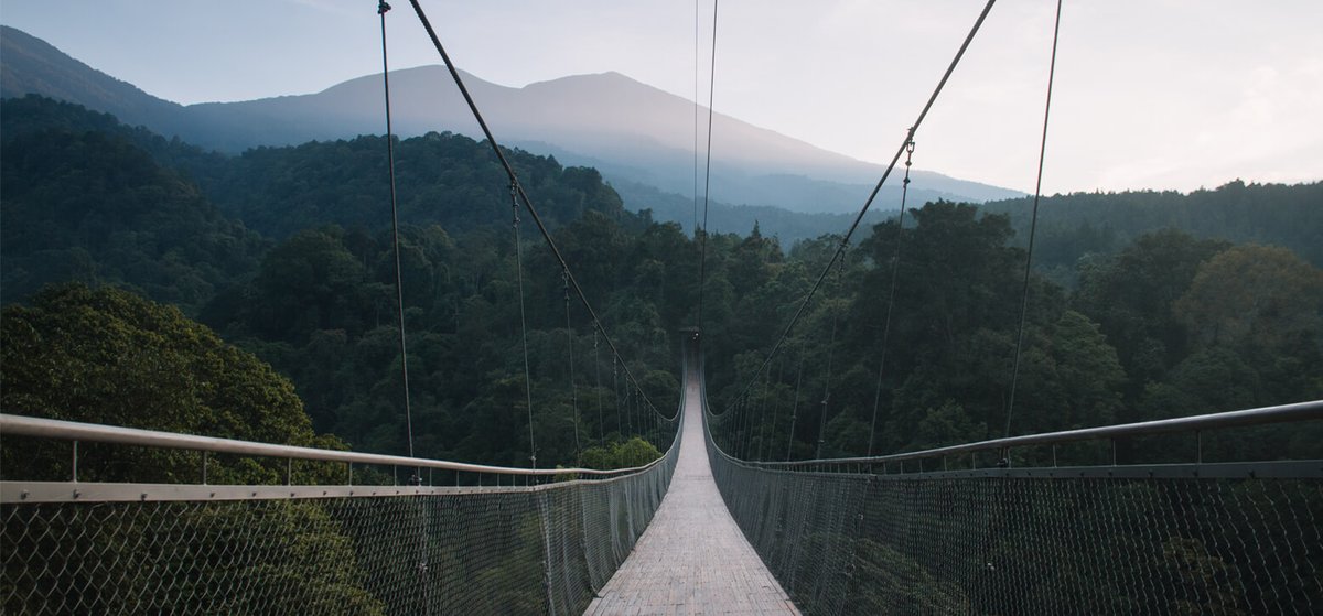 uatcnews's tweet photo. Explore the volcanic peaks ⛰️and rainforests of Mount Gede Pangrango National Park in West Java, Indonesia🇮🇩! With an area of over 150 km², the park is home to over 2,000 plant species, and animals, making it a perfect destination for hikers and nature lovers. #BornforAdventure https://t.co/vHZIpFJMtH