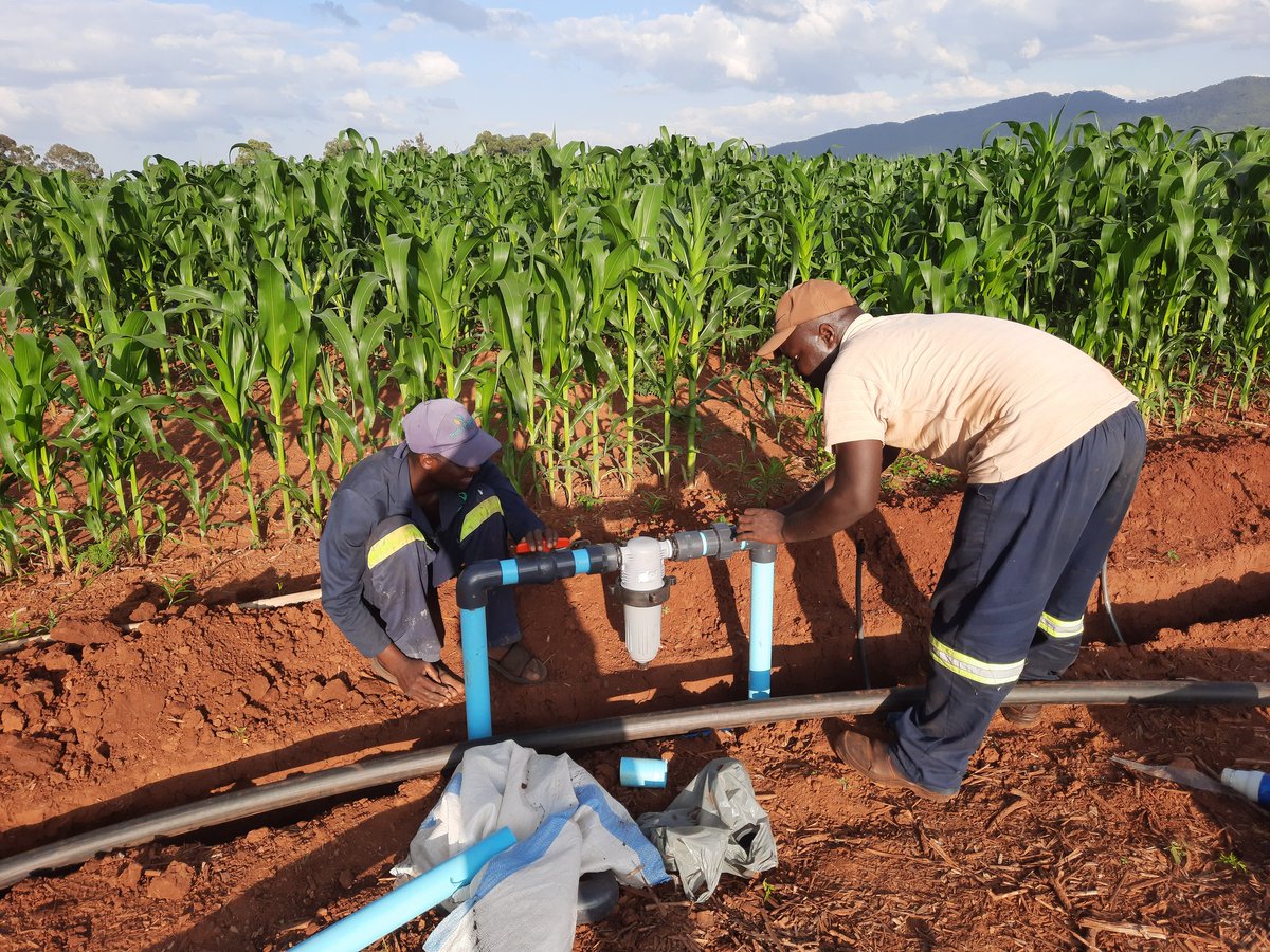 The Farmer's Engineer tweet media