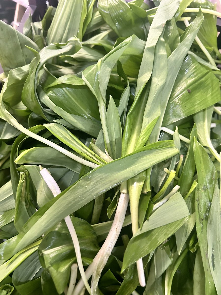Another early seasonal line .. Wild garlic available on tonight’s sales lists