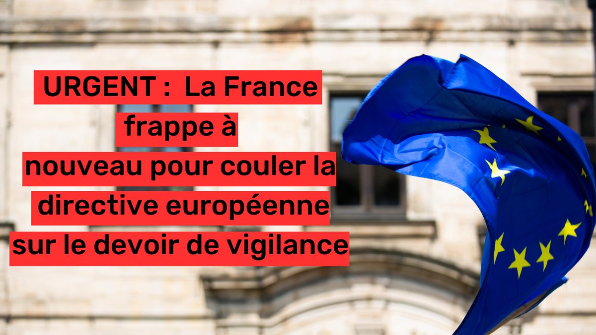 Alerte !! 📢 Avant un vote crucial ce matin des ambassadeurs des pays de l’UE, la 🇫🇷 tente à nouveau de saboter l’adoption de la directive européenne sur le devoir de vigilance. @BrunoLeMaire @EmmanuelMacron @steph_sejourne doivent voter oui !