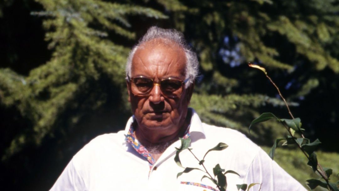 "Dünyada her iyilik unutulur, unutulmaz ya unutulur diyelim, hiçbir zaman, hiçbir insanın unutamayacağı bir güzellik var, o da bir insanın bir insandan gördüğü yürekten bir sevgidir."
Karıncanın Su İçtiği-Bir Ada Hikayesi 2, YKY, 2002

#YaşarKemal 🥀