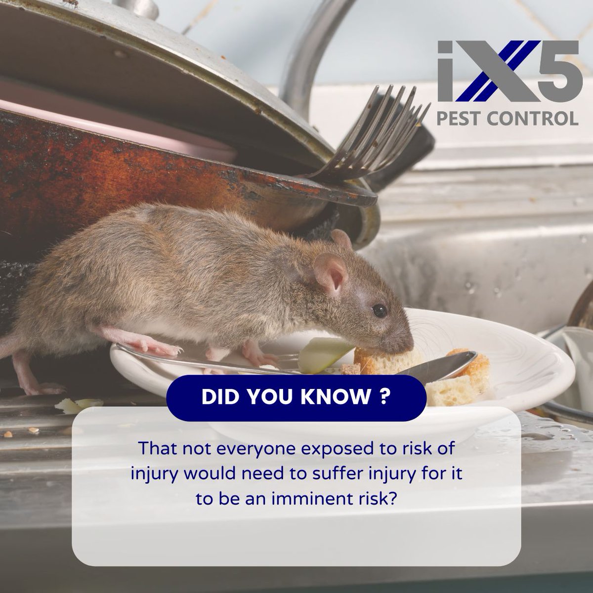 iX5uk's tweet photo. Did you know that not everyone exposed to risk of injury would need to suffer injury for it to be an imminent risk? You will be surprised just how much you will learn on our bespoke course. https://t.co/oIUKZmiTTQ #FoodBusinesses #PestControl #LocalAuthority #FoodOfficers https://t.co/j2DjAixGbx