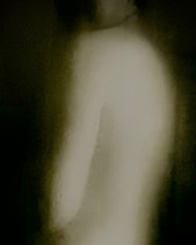 Marli Wentzel tweet media