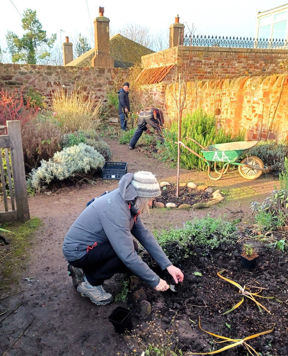 Pollinator Paradise! @theRidgeCIC #Dunbar support vulnerable referred people. Volunteers (inc the Rusty Knees Club) used @volunteering_uk #ActionEarth to plant drought resistant plants in community gardens in Scotland's driest area. #MakeSpaceforNature Funded by @NatureScot