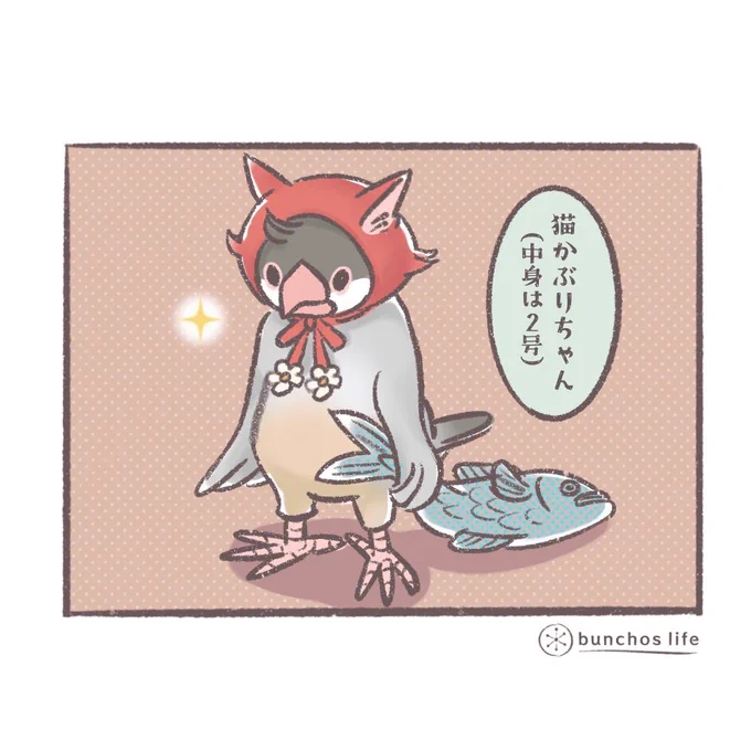 【緩募】猫を被る文鳥、全身コスチュームだと若干不気味感が残るので帽子のみに変更、色も赤ずきんちゃん風にしてみました(イメージはニット帽)久しぶりにこの子でLINEスタンプ作ってみようと思いますが、欲しい文言ありましたら教えてください!もしかしたら追加させていただくかも? 