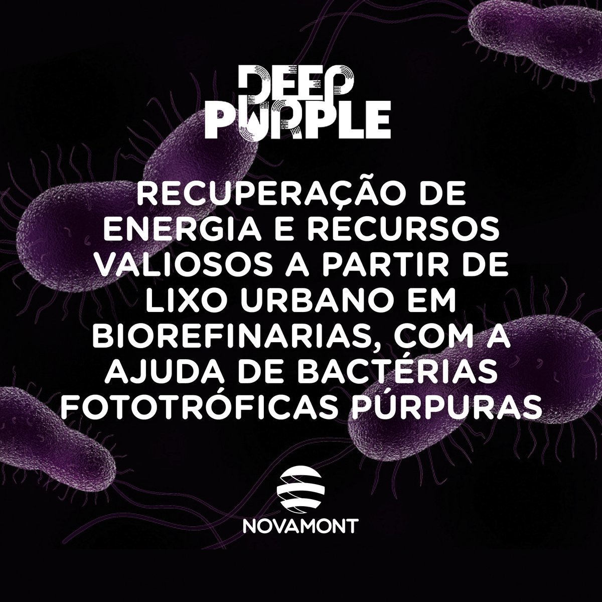 Novamont Iberia tweet media