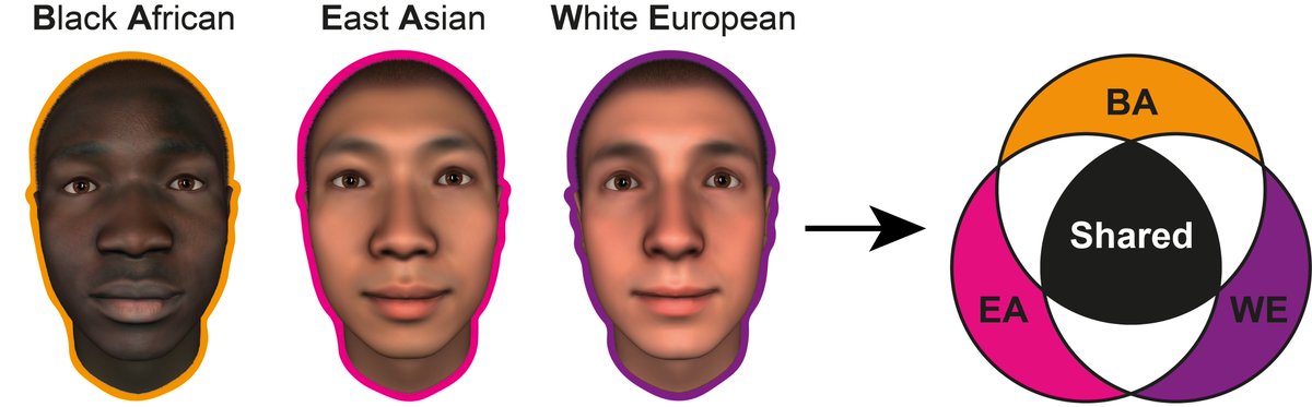 Val (she/her) (@valgosetti) on Twitter photo So excited to present our <a href="/facesyntax/">FaceSyntax_JackLab</a> work "In the face of diversity: face ethnicity influences the use of face features for social trait perception" at #AffectScience2024 (P2.L.180, 2 March, 3.05pm) w/ <a href="/LBHensel/">Laura Birka Hensel</a> <a href="/drrobinince/">Robin Ince</a> Oliver Garrod <a href="/SchynsPhilippe/">PhilippeSchyns</a> <a href="/rachaelejack/">rachael jack</a> 🥳 1/1👇 So excited to present our <a href="/facesyntax/">FaceSyntax_JackLab</a> work "In the face of diversity: face ethnicity influences the use of face features for social trait perception" at #AffectScience2024 (P2.L.180, 2 March, 3.05pm) w/ <a href="/LBHensel/">Laura Birka Hensel</a> <a href="/drrobinince/">Robin Ince</a> Oliver Garrod <a href="/SchynsPhilippe/">PhilippeSchyns</a> <a href="/rachaelejack/">rachael jack</a> 🥳 1/1👇