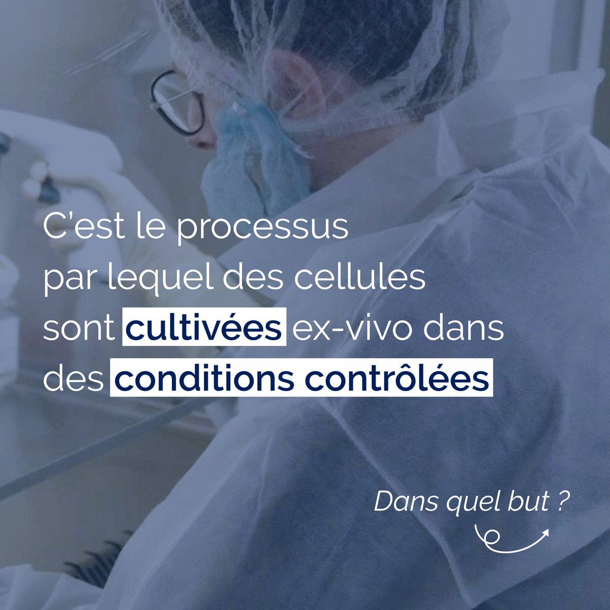 QA_Belgium's tweet photo. La culture cellulaire, c’est le processus par lequel des cellules sont cultivées ex-vivo dans des conditions contrôlées afin de les maintenir en vie et les étudier.
Tu le savais déjà ? Rejoins-nous comme technicien en culture cellulaire !
https://t.co/UB97CXxOW2
#workatqa https://t.co/xUUVlQOLL4