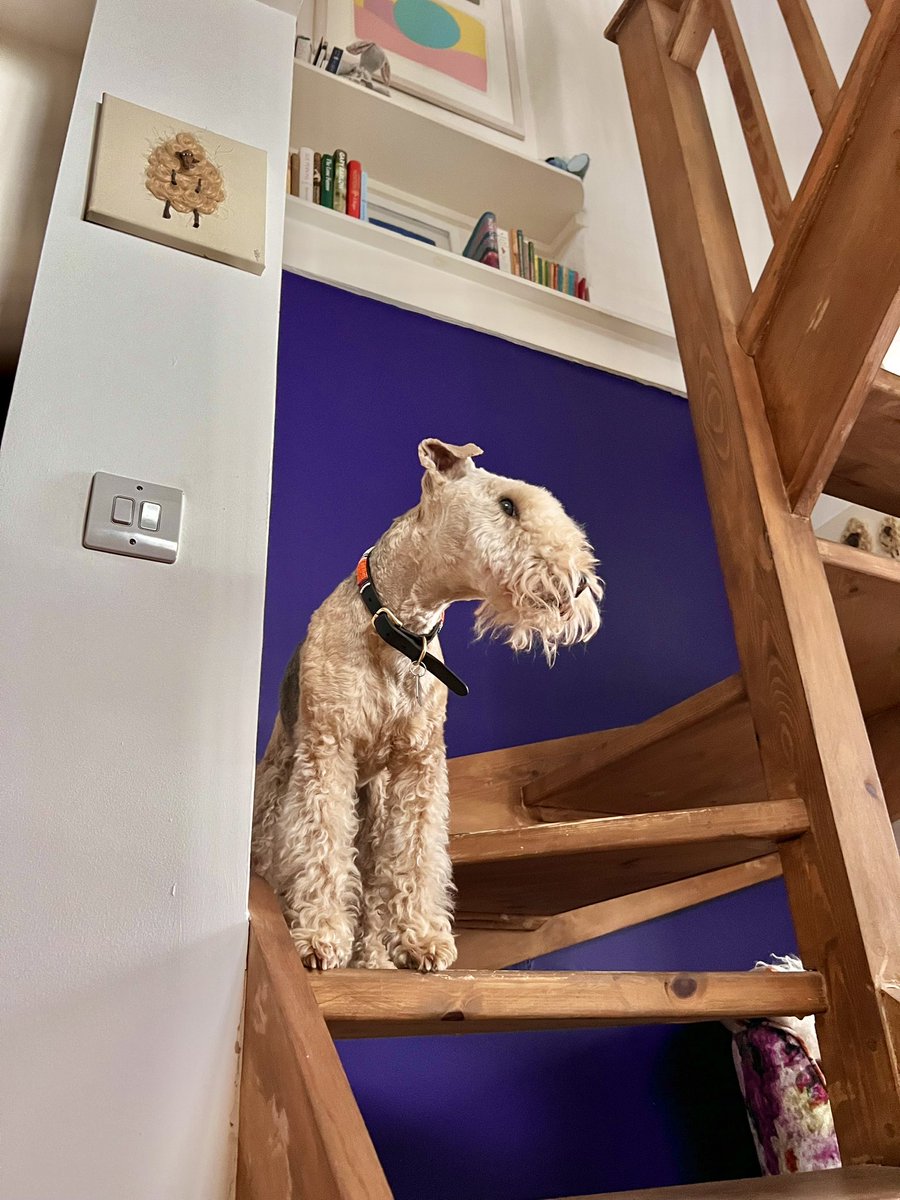 Bertie Lakeland tweet media