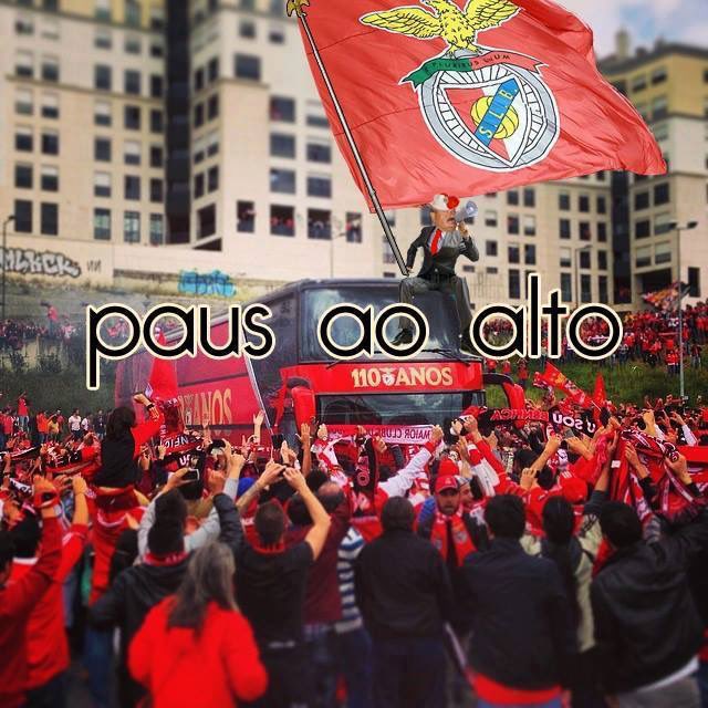 Cota do Bigode tweet media