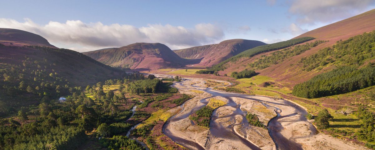 🏥🌍 RESTORING LANDSCAPES – a new blog series sharing #restoration success AND failure stories & promoting knowledge exchange between #practitioners! Check out our inaugural post all about the 'Cairngorms Connect' project: appliedecologistsblog.com/2024/02/28/res…