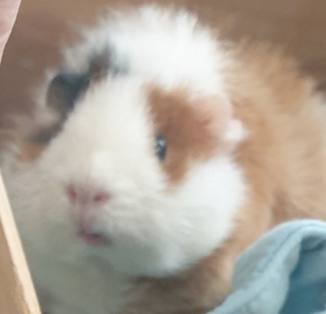 WarrrrrC's tweet image. 