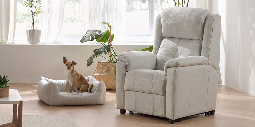 ACOMODEL's tweet image. ¿Es tu casa zona #PetFrinedly? 🐶

Aquí puedes ver el #Sillón Tenesi y #PetModel en el mismo tapizado. ¿No es una pasada?

📍Te ayudamos en la búsqueda de la tienda más cercana 📲 lc.cx/tER7mD

#Acomodel #Miercoles #Familia #Hogar #Mascotas #MadeInSpain