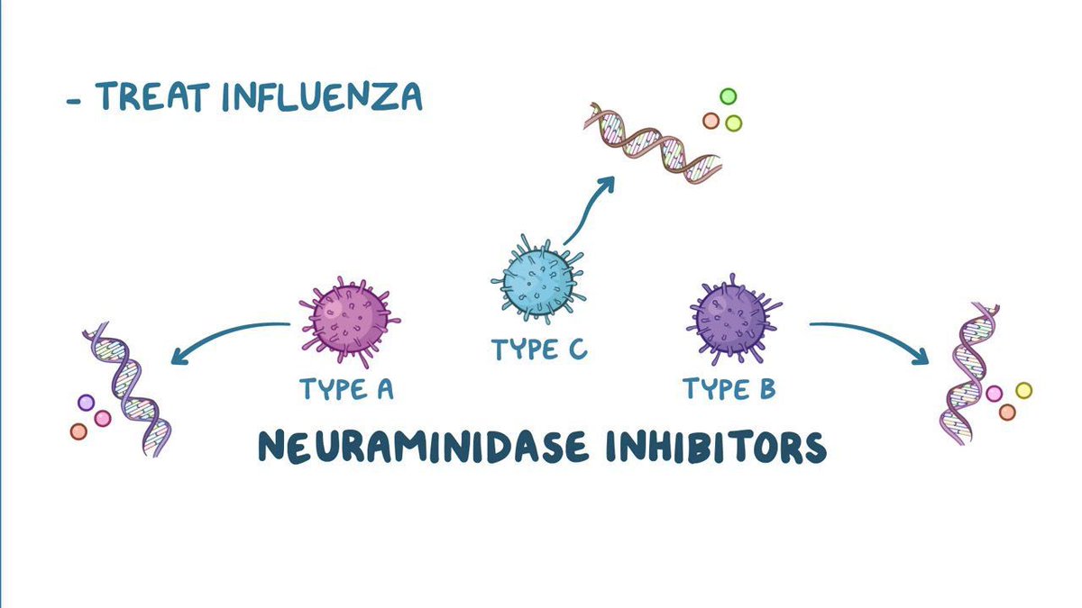 Neuraminidase inhibitors