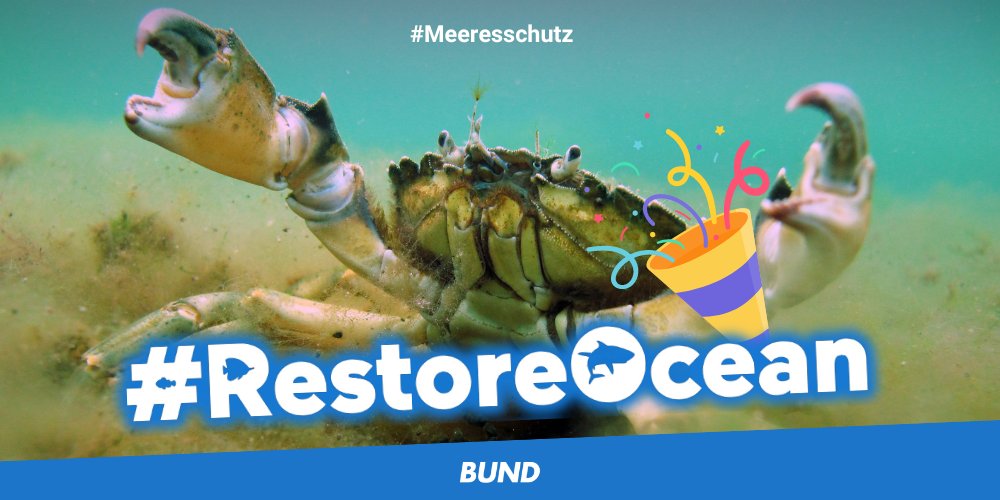 bund_net's tweet photo. Was für ein Tag für die Meere! 🥳🌊 Gestern beschloss das @Europarl_EN neben dem #NatureRestorationLaw auch die neue Version der #EnvironmentalCrimeDirective, die u.a. #Unterwasserlärm unter Strafe stellt. 🔇 Unser Einsatz hat sich gelohnt! #RestoreOcean #Meereswende 1/3 https://t.co/EAzcuGMONp