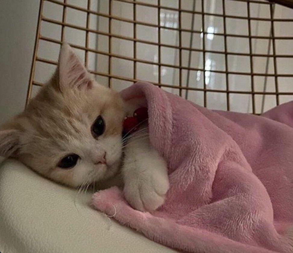 + neyin var

- yok bi şey