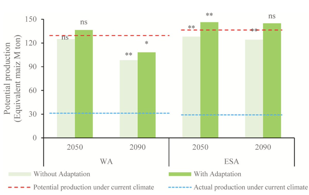 Julian R-V (@julianciat) on Twitter photo New <a href="/WUR/">Wageningen U&R</a>, <a href="/CGIAR/">CGIAR</a>, <a href="/BiovIntCIAT_eng/">Alliance of Bioversity International and CIAT</a> and partners study in @ELSenviron #EurJAgron shows crucial #ClimateAction is needed to address self-sufficiency in Africa under #ClimateChange 👉 doi.org/10.1016/j.eja.… New <a href="/WUR/">Wageningen U&R</a>, <a href="/CGIAR/">CGIAR</a>, <a href="/BiovIntCIAT_eng/">Alliance of Bioversity International and CIAT</a> and partners study in @ELSenviron #EurJAgron shows crucial #ClimateAction is needed to address self-sufficiency in Africa under #ClimateChange 👉 doi.org/10.1016/j.eja.…
