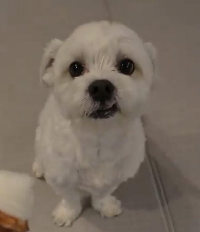 Jungwon                             Maeumi