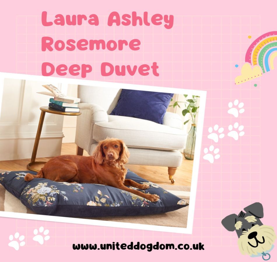 UnitedDogdom's tweet photo. Snuggle up for a cosy nap with the Laura Ashley Rosemore Deep Duvet on #publicsleepingday😴 Where do you think your furry friend will choose to snooze? 🛏️ https://t.co/NFh5oLrQBG
.
#PupRestZone #dog #ukdogs #countrydogs #sleepydog #dogsoftwitter #pup @dotty4paws @thegooddogguide https://t.co/5kYoAhU5UU
