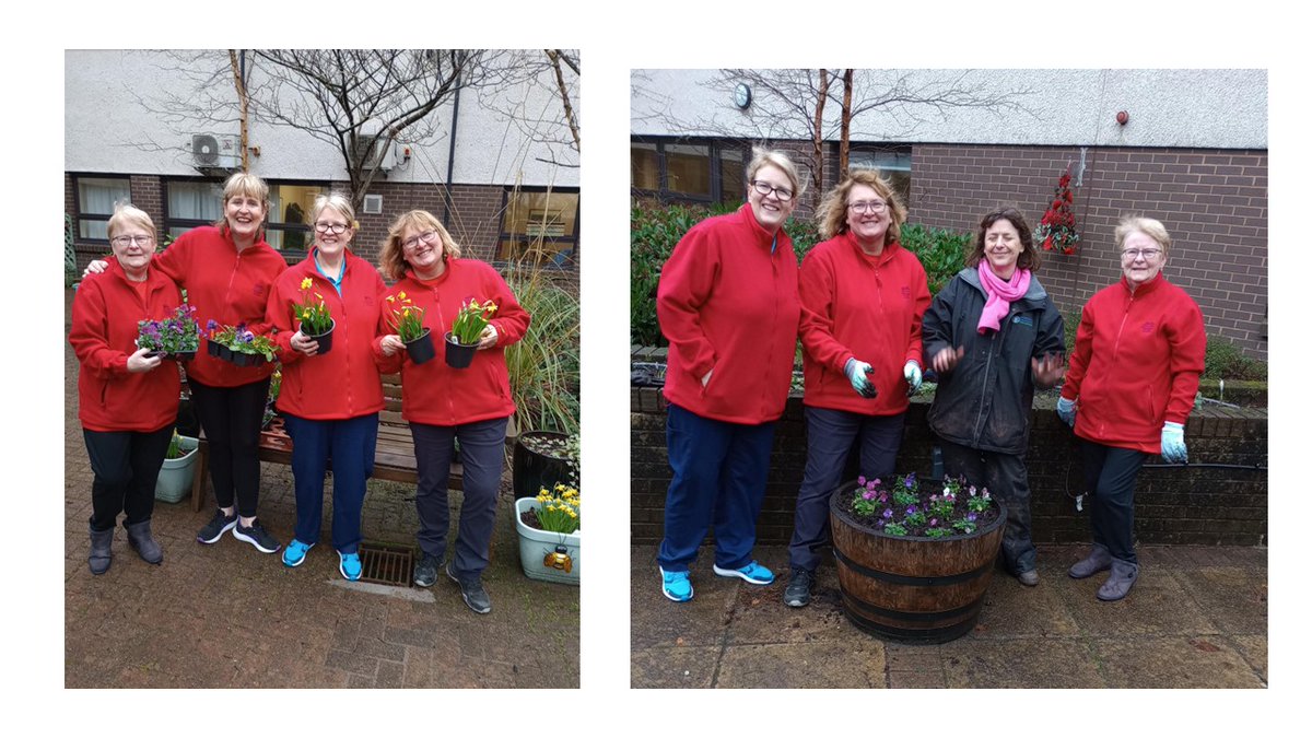 InverclydeCommunityFoodNetwork (@icfnetwork) on Twitter photo Another great day - started at Hillend Nursery, followed by trip to The Haven, <a href="/AdminParklea/">Parklea Branching Out</a> planting seeds with the volunteers and finishing up at The Rainbow Garden at the Larkfield Unit gifting and planting plants from <a href="/AdminParklea/">Parklea Branching Out</a>. To all the volunteers - THANK YOU Another great day - started at Hillend Nursery, followed by trip to The Haven, <a href="/AdminParklea/">Parklea Branching Out</a> planting seeds with the volunteers and finishing up at The Rainbow Garden at the Larkfield Unit gifting and planting plants from <a href="/AdminParklea/">Parklea Branching Out</a>. To all the volunteers - THANK YOU